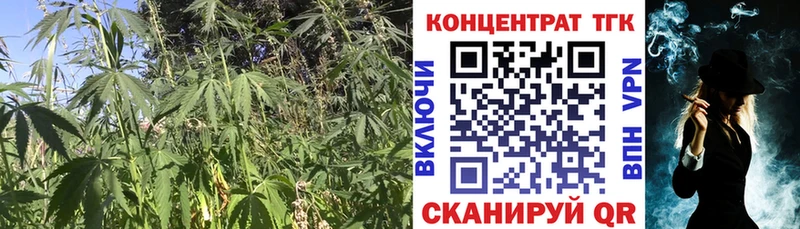 нарко площадка формула  Сухиничи  ТГК жижа 