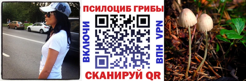 shop как зайти  как найти закладки  Сухиничи  Галлюциногенные грибы Magic Shrooms 